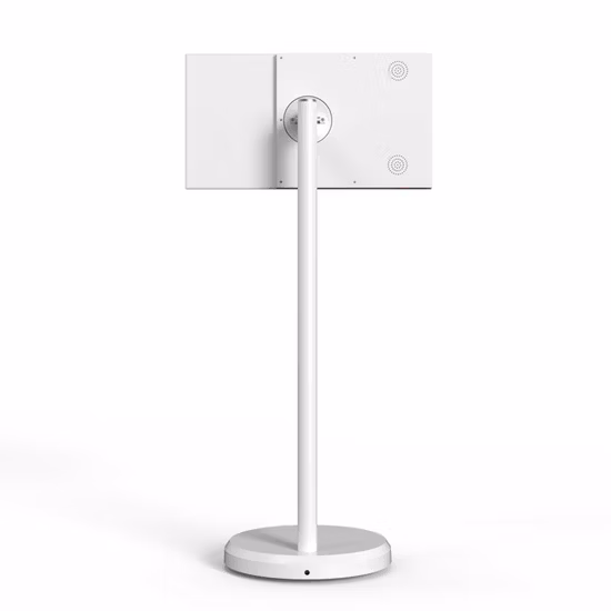 IPS-LC30s High Speed Stand CO2 Marking Laser Marker for Metal/Jewelry/Plastic/Glass