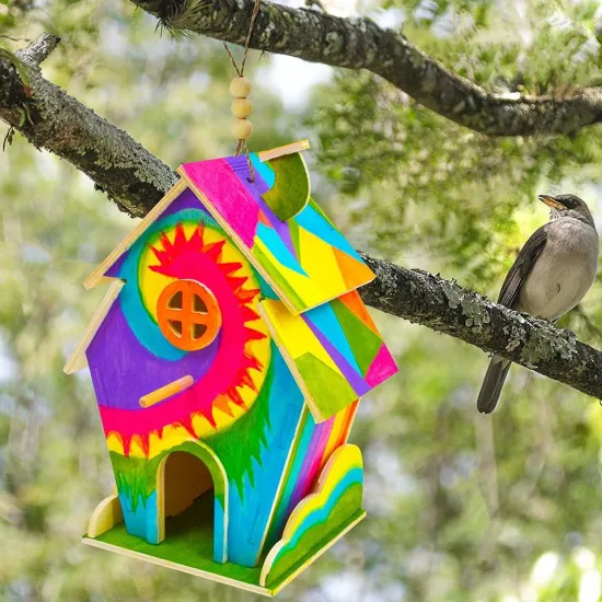 Kit de mangeoire à oiseaux à faire soi-même, artisanat d'art en bois, Kit de maison à oiseaux pour enfants